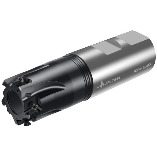 ワルタージャパン（株） ミーリングカッター F5041 ミーリングカッター F5041.W32.032.Z05.08