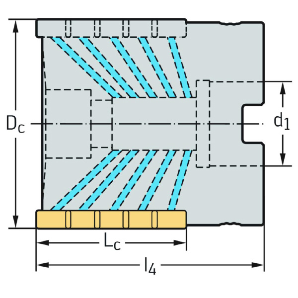 ワルタージャパン（株） ミーリングカッター F5138 ミーリングカッター F5138.B22.050.Z03.34