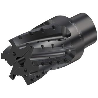 ワルタージャパン（株） チップ座付きミーリングカッター M4258 チップ座付きミーリングカッター M4258-080-C8-03-80-B