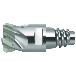 ワルタージャパン（株） ConeFitヘッド交換式超硬エンドミル MC275 ＣｏｎｅＦｉｔヘッド交換式超硬エンドミル MC275-12.0E4P100-WIS10