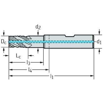 ワルタージャパン（株） 超硬ラフィングエンドミル H4189278 超硬ラフィングエンドミル H4189278-6