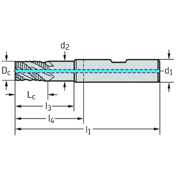 ワルタージャパン（株） 超硬ラフィングエンドミル H4189278 超硬ラフィングエンドミル H4189278-6