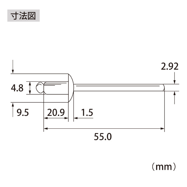 （株）ロブテックス ブラインドリベット(500本入) NS ブラインドリベット（５００本入） NS610A