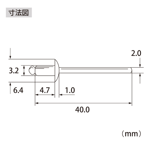 （株）ロブテックス ブラインドリベット(1000本入) NSS ブラインドリベット（１０００本入） NSS41A