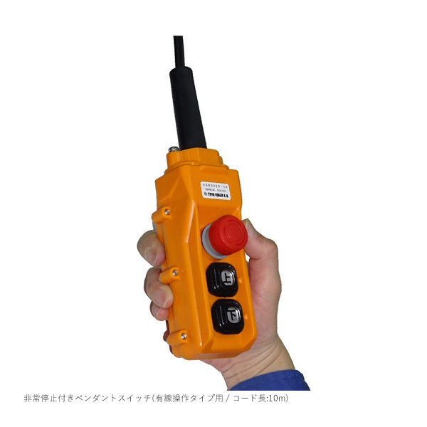 トーヨーコーケン（株） 2本掛 ベビーホイスト DB-E ２本掛　ベビーホイスト DB-E820
