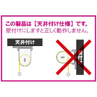 吉野（株） ローリン(遮光用) ローリン（遮光用）２×２天井直付けタイプ YS-22RS-BAT-DG