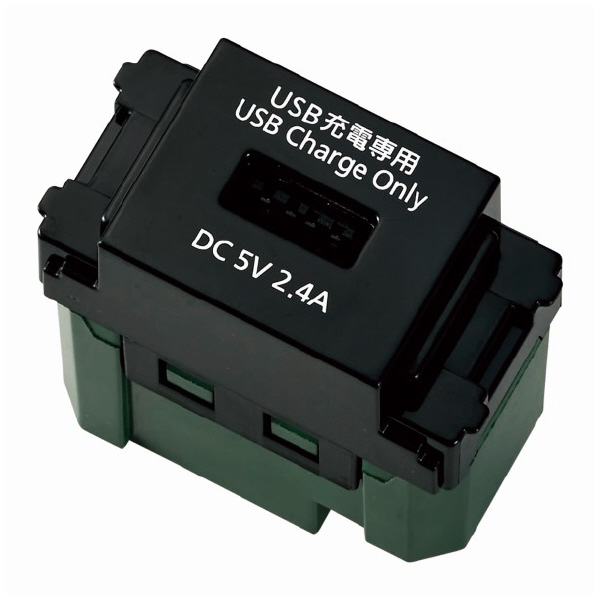 パナソニック（株）　電材 埋込充電用USBコンセント WN 埋込充電用ＵＳＢコンセント WN1485B