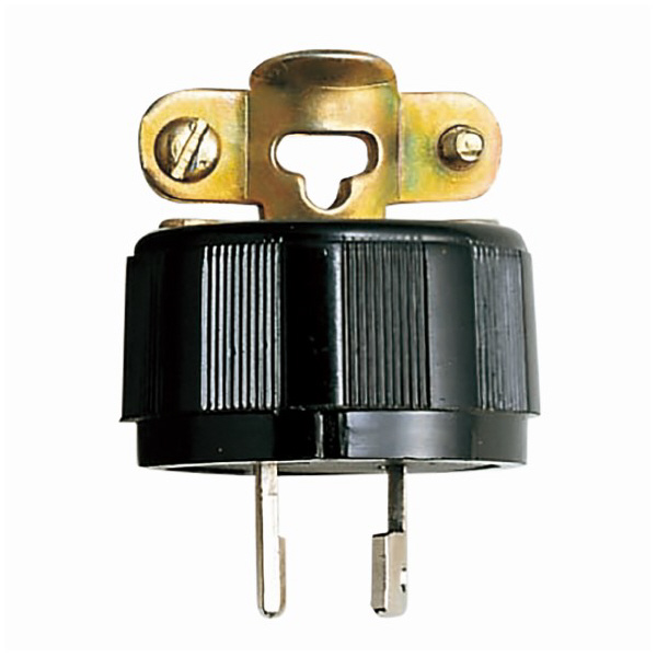 パナソニック（株）　電材 2P15Aキャップ WF ２Ｐ１５Ａキャップ WF6215