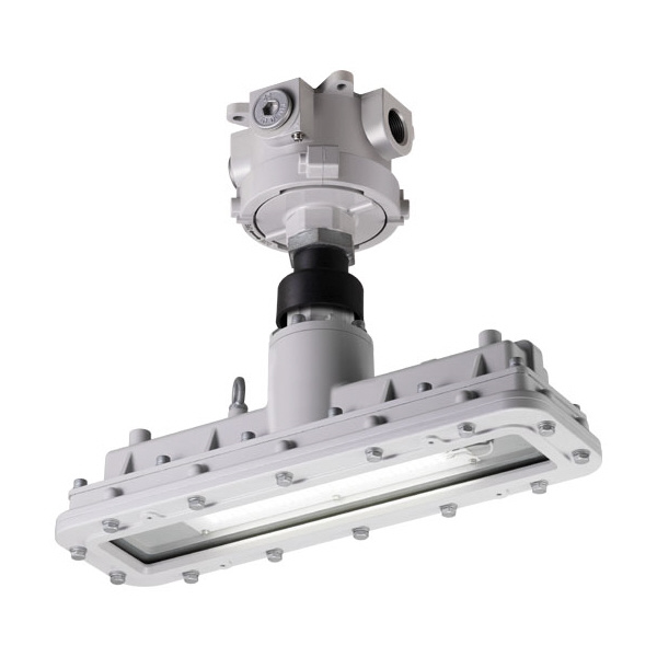 岩崎電気（株） レディオック EX ヴェルノ 防爆形ＬＥＤ照明器具２灯用直付形 EXICL1042SA9-28
