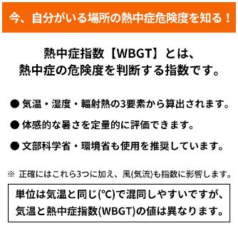アイトス（株） 黒球式熱中症指数計 KO392 黒球式熱中症指数計 KO392