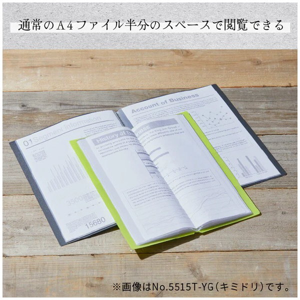 （株）キングジム クリアーファイル ホッソ 5515 クリアーファイル　ホッソ　クロ 5515-BK