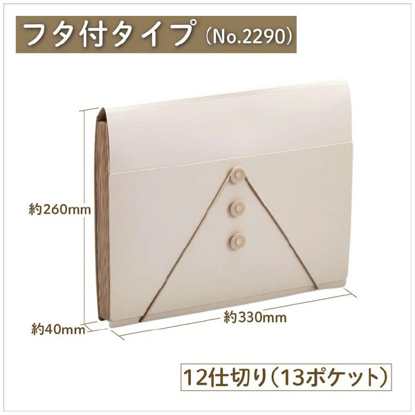 （株）キングジム サクッと整理ドキュメントファイル(フタ付) 2290 サクッと整理ＤＦ（フタ付）　シロ 2290-W