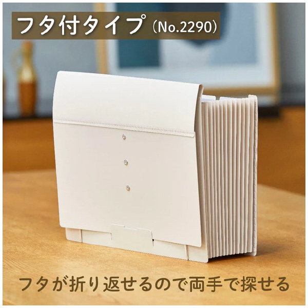 （株）キングジム サクッと整理ドキュメントファイル(フタ付) 2290 サクッと整理ＤＦ（フタ付）　シロ 2290-W