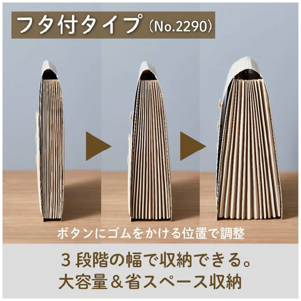 （株）キングジム サクッと整理ドキュメントファイル(フタ付) 2290 サクッと整理ＤＦ（フタ付）　シロ 2290-W