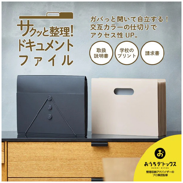 （株）キングジム サクッと整理ドキュメントファイル(フタ付) 2290 サクッと整理ＤＦ（フタ付）　クロ 2290-BK