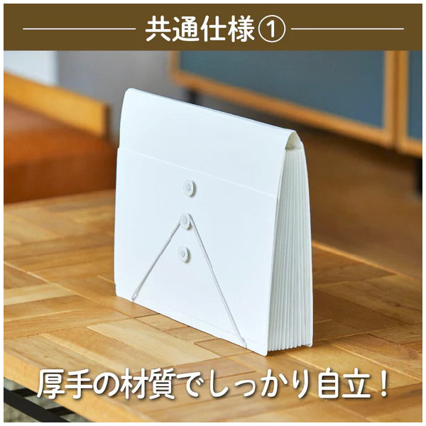 （株）キングジム サクッと整理ドキュメントファイル(フタ付) 2290 サクッと整理ＤＦ（フタ付）　クロ 2290-BK