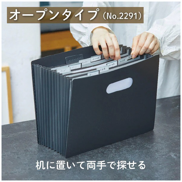 （株）キングジム サクッと整理ドキュメントファイル(オープン) 2291 サクッと整理ＤＦ（オープン）　シロ 2291-W