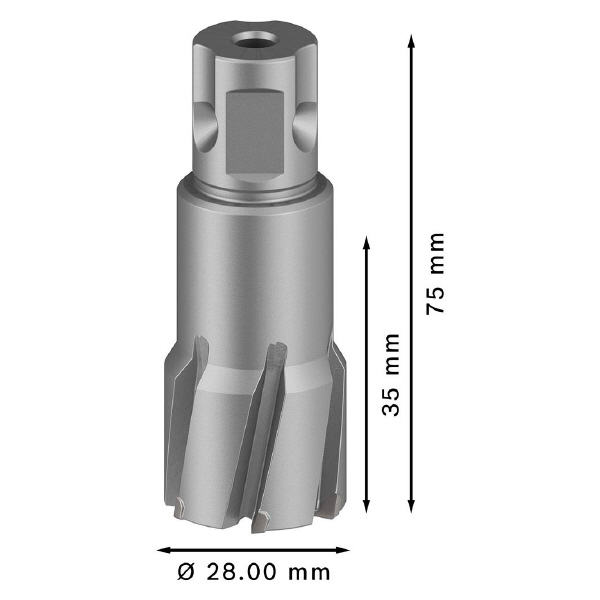 ボッシュ（株） 磁気ボール盤用超硬カッター 磁気ボール盤用超硬カッター 2608577490