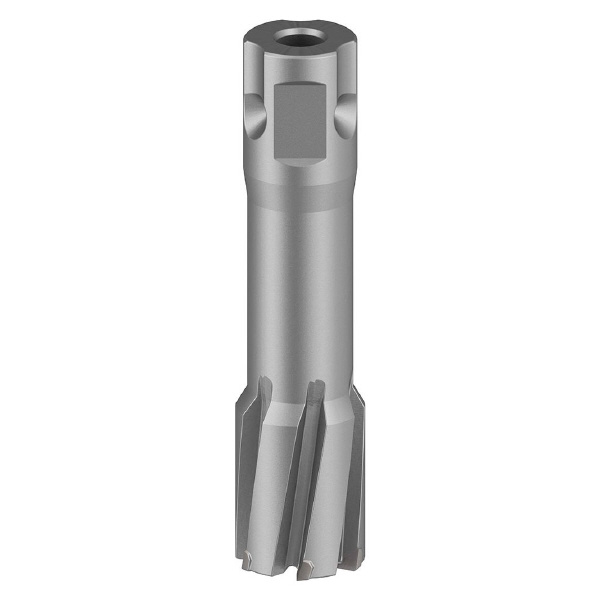 ボッシュ（株） 磁気ボール盤用超硬カッター 磁気ボール盤用超硬カッター 2608577499
