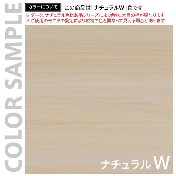 アール・エフ・ヤマカワ（株） スチール脚机上台 GZSLDR スチール脚机上台Ｗ６００ GZSLDR-600NA2-BL