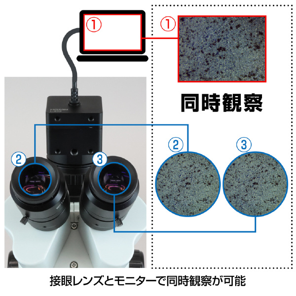 ホーザン株式会社 三眼実体顕微鏡(PC用・PD-1付) 三眼実体顕微鏡（ＰＣ用・ＰＤ－１付） L-KIT1237A