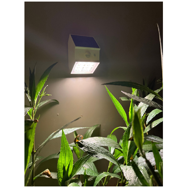 ＹＡＭＡＺＥＮ ソーラーライト 陽だまりキューブ YA-HICUBE-1 ソーラーライト　陽だまりキューブ YA-HICUBE-1