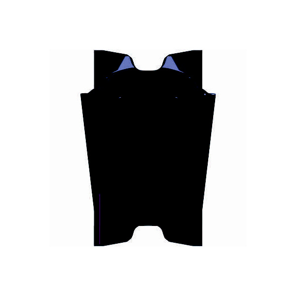 サンドビック（株） コロカット2 チップ C2I-F2R コロカット２　チップ　【Ｃ】 C2I-F2R-0250-0501-CF1225