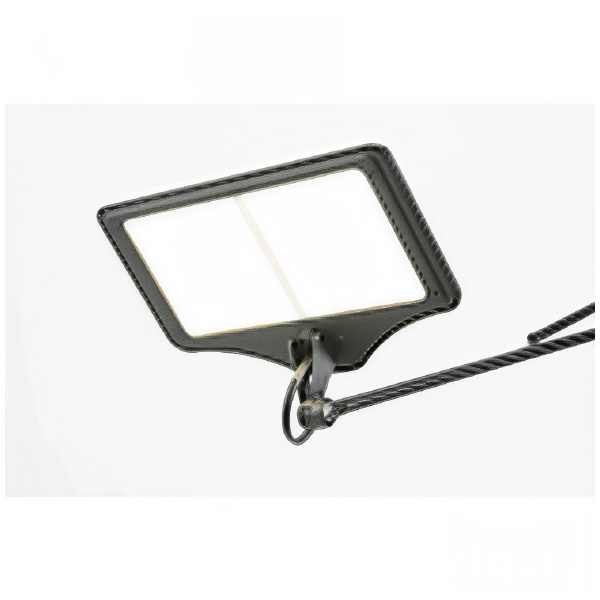 （株）カネカ OLEDデスクライト 2灯タイプ 有機ＥＬデスクライト２灯黒（白色） LEX-3100BK