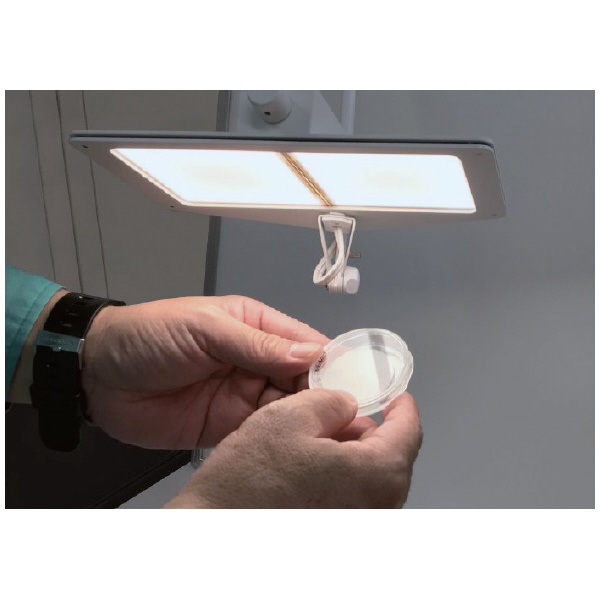 （株）カネカ OLEDデスクライト 2灯タイプ 有機ＥＬデスクライト２灯黒（白色） LEX-3100BK