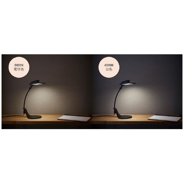（株）カネカ OLEDデスクライト Study Petit Ｓｔｕｄｙ　Ｐｅｔｉｔ白（電球色） SK-3141WH