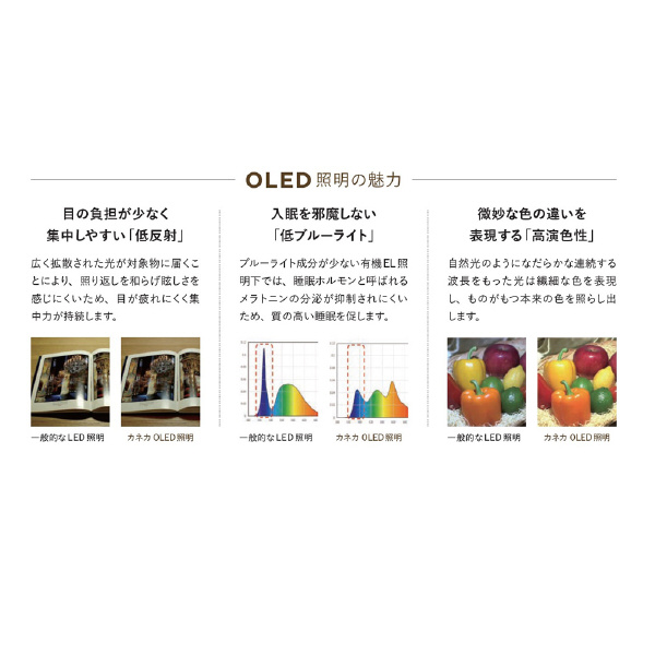 （株）カネカ OLEDデスクライト Study Petit Ｓｔｕｄｙ　Ｐｅｔｉｔピンク（白色） SK-3140PI