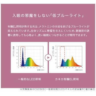 （株）カネカ OLEDデスクライト Study Slim Ｓｔｕｄｙ　Ｓｌｉｍ（白色） KK401