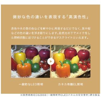 （株）カネカ OLEDデスクライト Study Slim Ｓｔｕｄｙ　Ｓｌｉｍ（白色） KK401