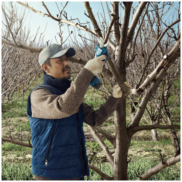 ボッシュ（株） コードレス剪定ばさみ ProPruner コードレス剪定ばさみ　ＰｒｏＰｒｕｎｅｒ 1619JT0882