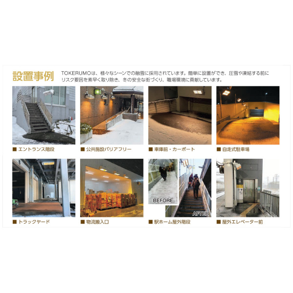 （株）エルコム 遠赤外線融雪装置 解けルモ 解けルモ６灯タイプ TK-C6000