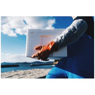 ショーワグローブ（株） 腕カバー付ニュービニローブ NO645 腕カバー付ニュービニローブ　Ｓサイズ NO645-S