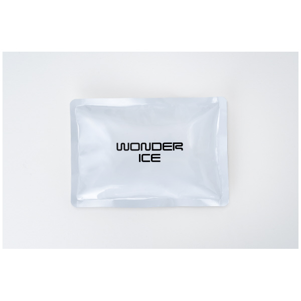 アイトス（株） 特殊低温冷却保冷剤 特殊低温冷却保冷剤 WDI26-500-F