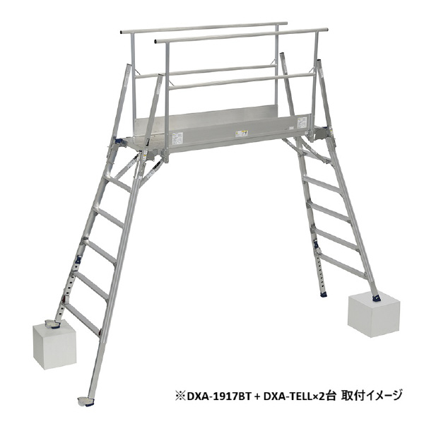 （株）ピカコーポレイション DXA・DWJ型用オプション 手すりわく ＤＸＡ・ＤＷＪ型用オプション　手すりわく DXA-TELL