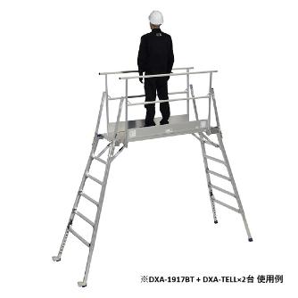 （株）ピカコーポレイション DXA・DWJ型用オプション 手すりわく ＤＸＡ・ＤＷＪ型用オプション　手すりわく DXA-TELL