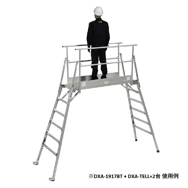 （株）ピカコーポレイション DXA・DWJ型用オプション 手すりわく ＤＸＡ・ＤＷＪ型用オプション　手すりわく DXA-TELL