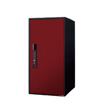 パナソニック（株）　電材 イーコンボライト ラージ イーコンボライト　ラージ　ボルドー CTN6050RXR