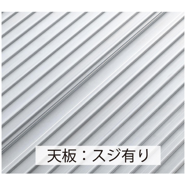 長谷川工業（株） ライトステップ DB ライトステップ DB1-543a