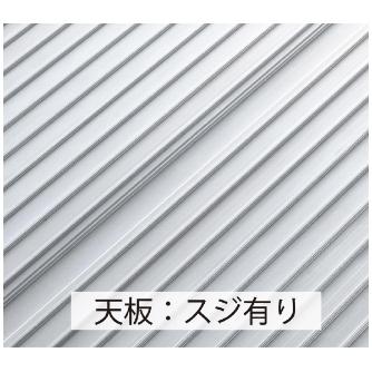 長谷川工業（株） ライトステップ DB ライトステップ DB1-545a