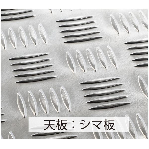 長谷川工業（株） ライトステップ(縞板タイプ) DBS ライトステップ（縞板タイプ） DBS2-646a