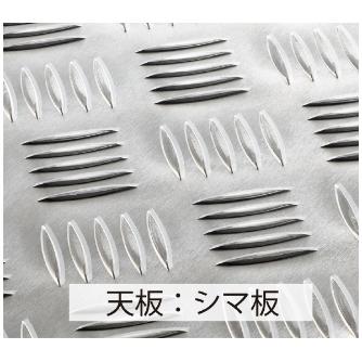 長谷川工業（株） ライトステップ(縞板タイプ) DBS ライトステップ（縞板タイプ） DBS3-8575a