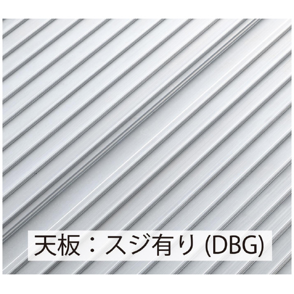 長谷川工業（株） ライトステップ DBG ライトステップ DBG2-645a
