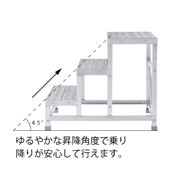 長谷川工業（株） ライトステップ DBG ライトステップ DBG5-84125a