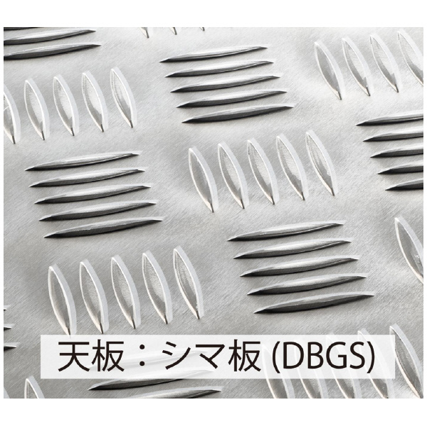 長谷川工業（株） ライトステップ(縞板タイプ) DBGS ライトステップ（縞板タイプ） DBGS2-645a