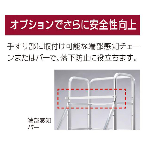 長谷川工業（株） ライトステップ用両側手すり DB-TW ライトステップ用両側手すり DB3-849a-TW