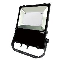 日機（株） 超低温冷凍庫用LED投光器 NLFZ